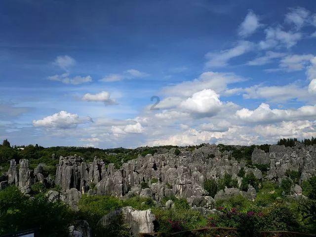 沪江开心词场